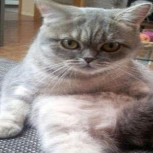 Meet your Posher, Carlee